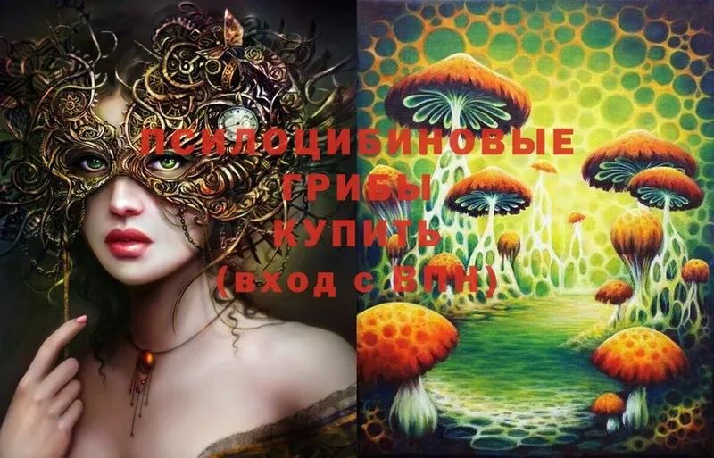 Галлюциногенные грибы Psilocybine cubensis  Свободный 